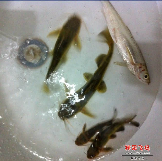 学校隔壁.jpg