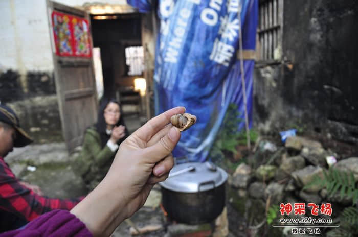 nEO_IMG_照片 1095.jpg