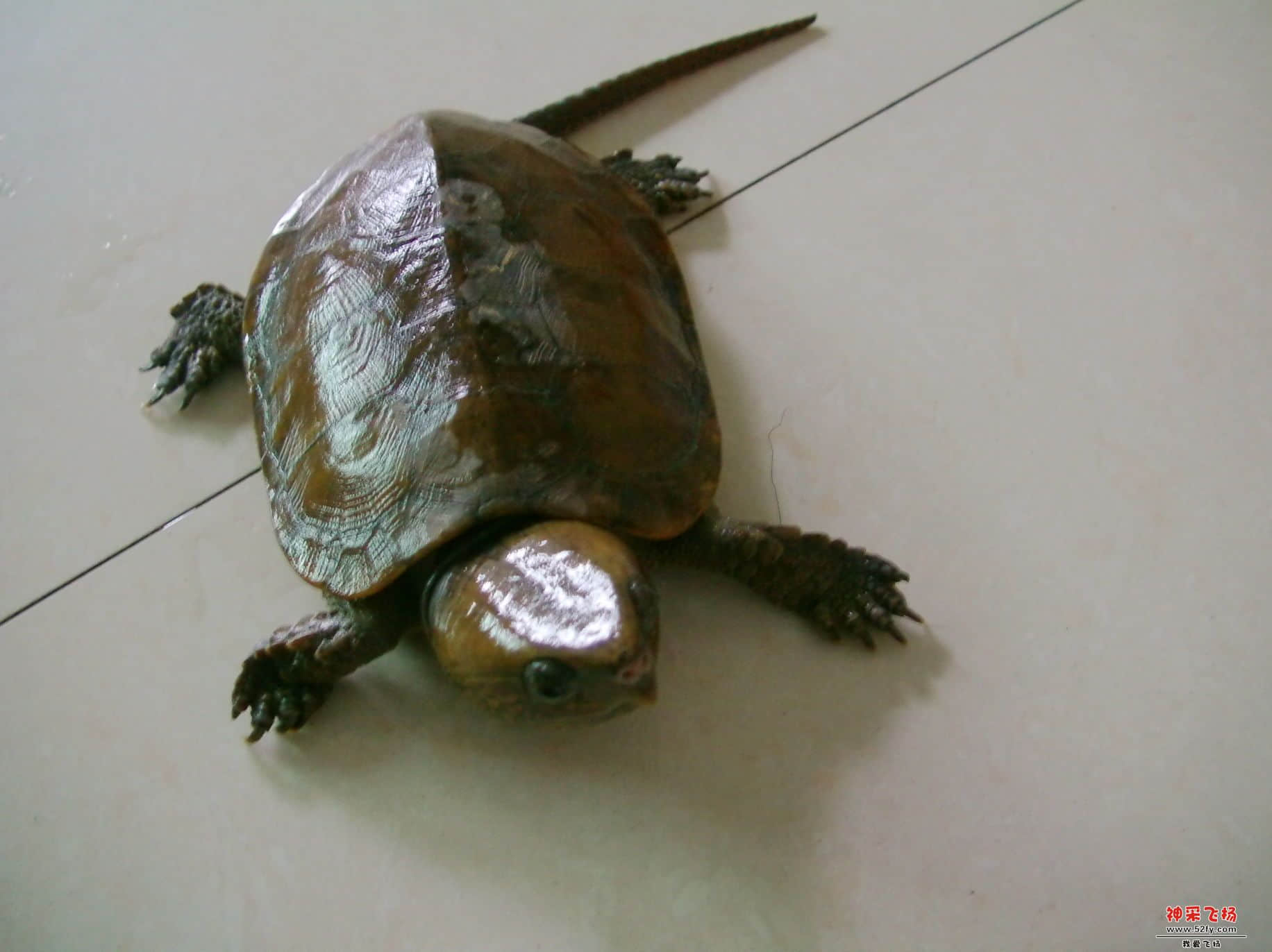 FILE0205.JPG