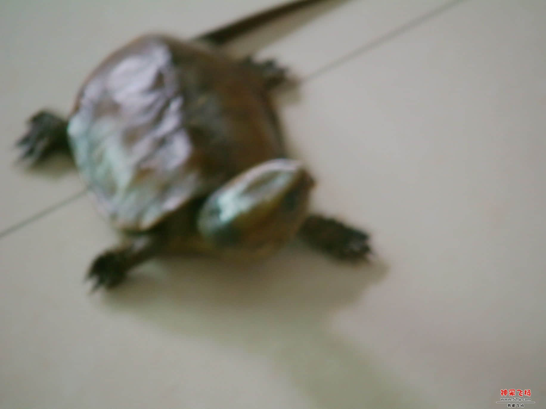 FILE0210.JPG