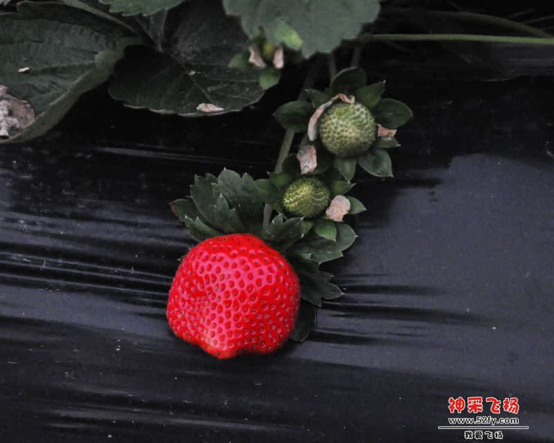 照片 131--.jpg