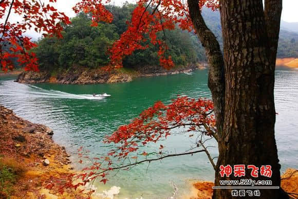 流溪梅花节6.jpg