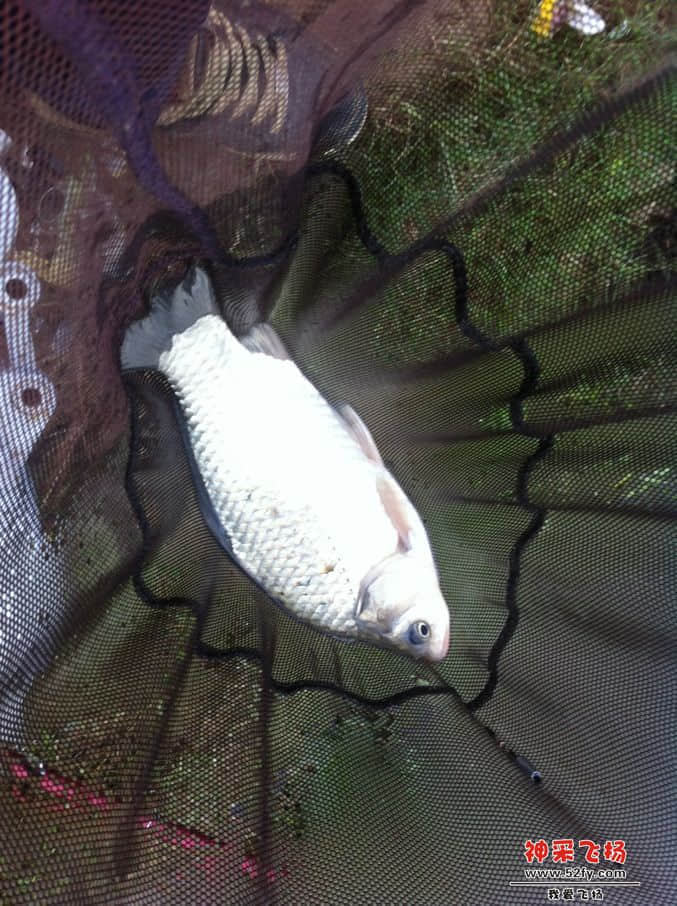 IMG_0897.jpg