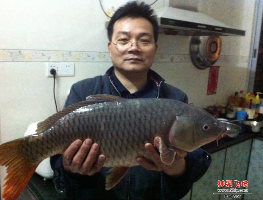 QQ截图20121224102323.jpg