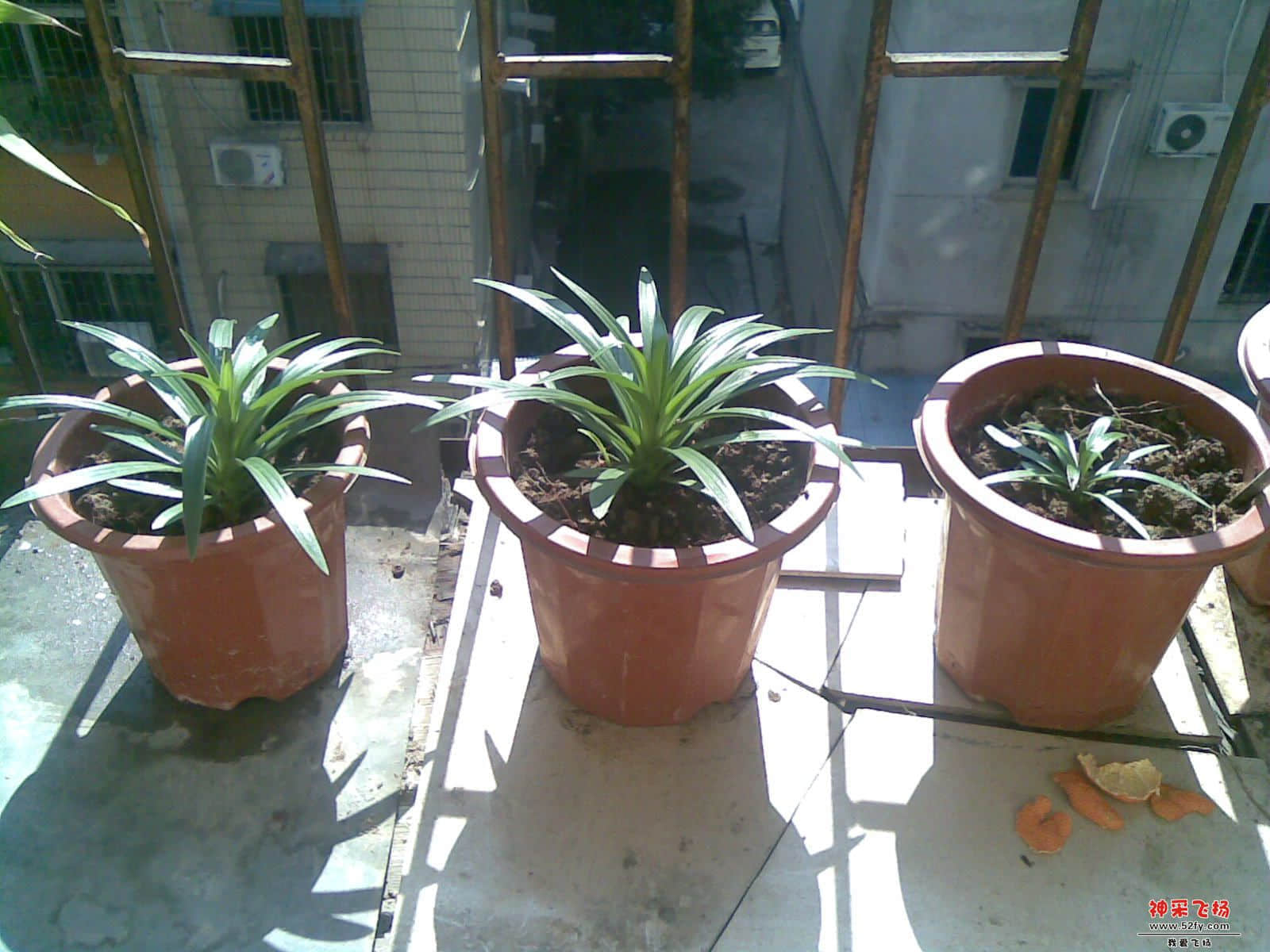 20121225.jpg