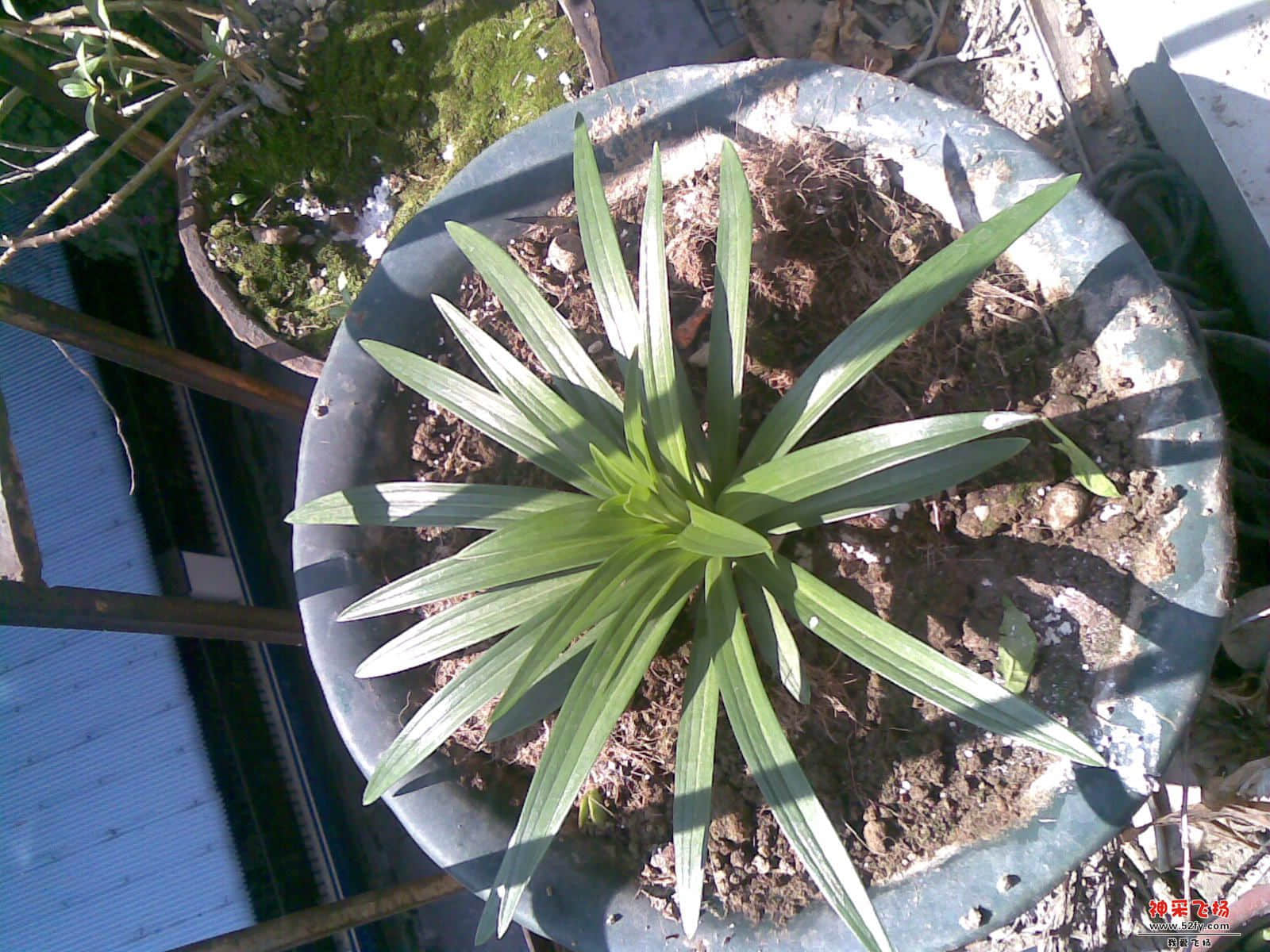 20121225(001).jpg
