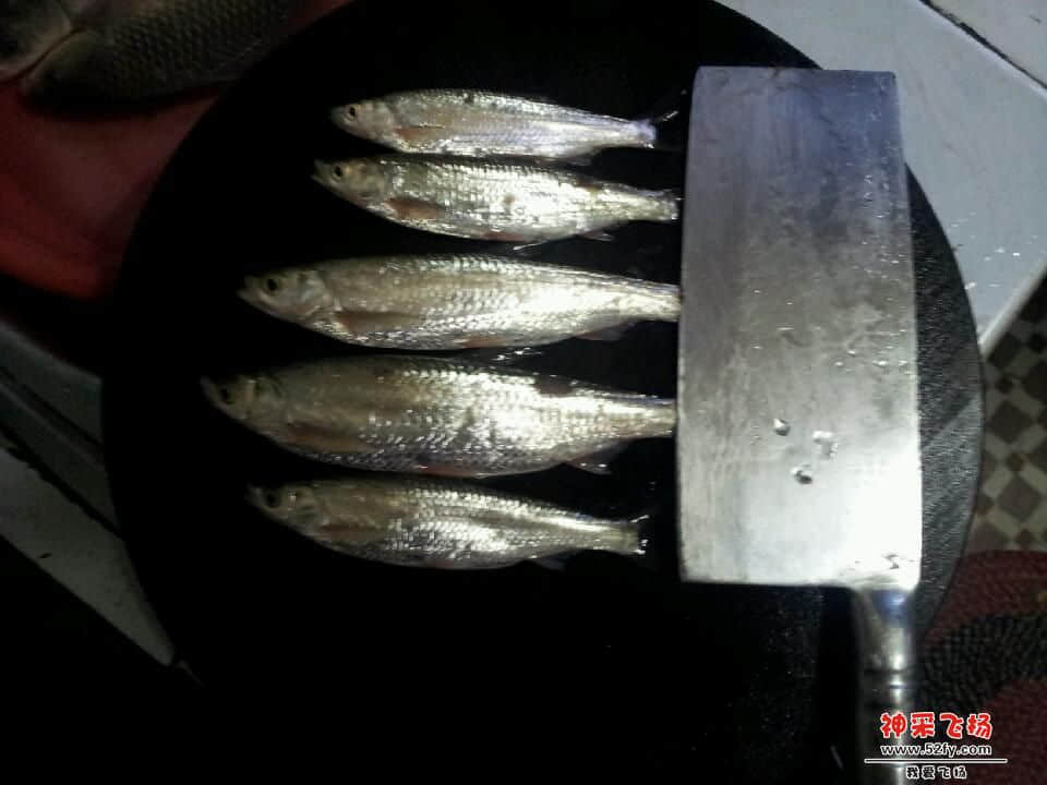 20121229_170952.jpg
