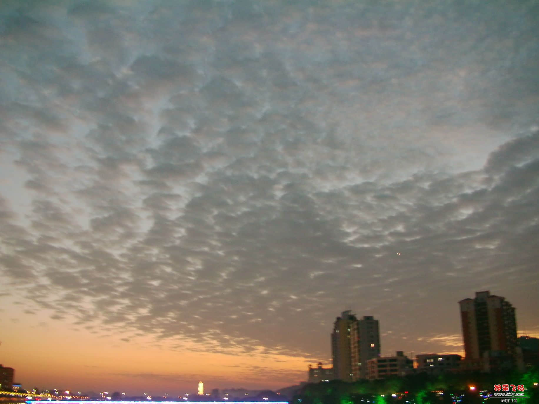 FILE0298.JPG