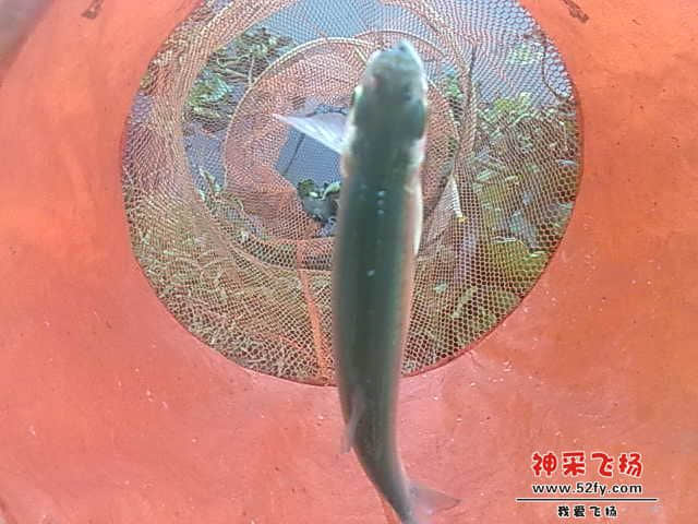 照片 007.jpg