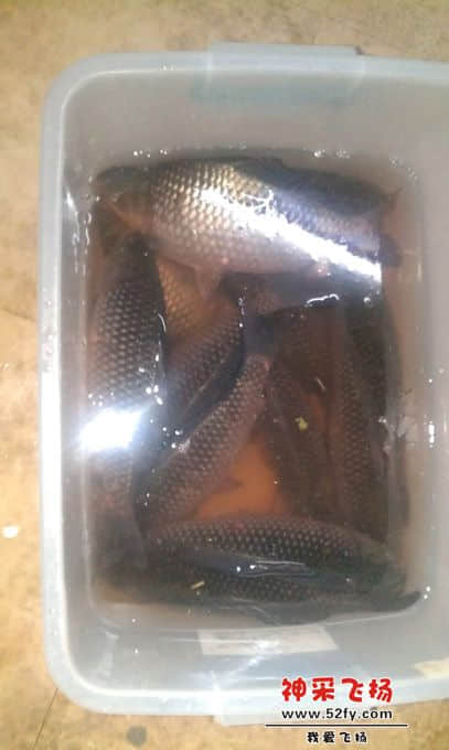 385_2013010220472400_IMAG0313.jpg