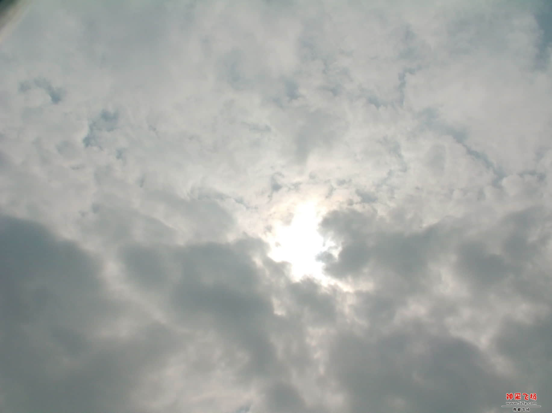 FILE0307.JPG