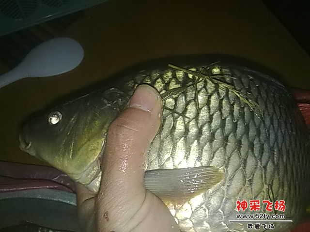 20130104526.jpg