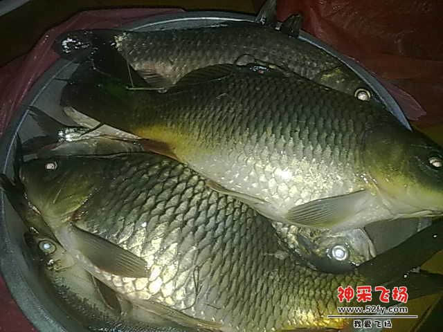 20130104529.jpg