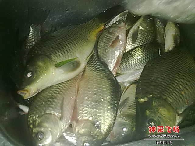 20130104532.jpg