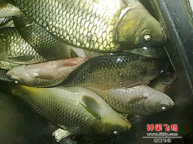 20130104533.jpg