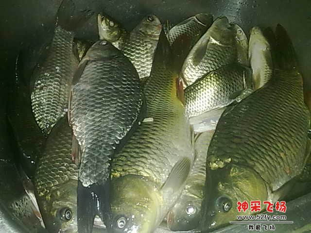 20130104538.jpg