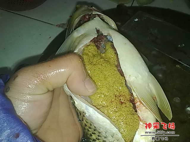 20130104547.jpg