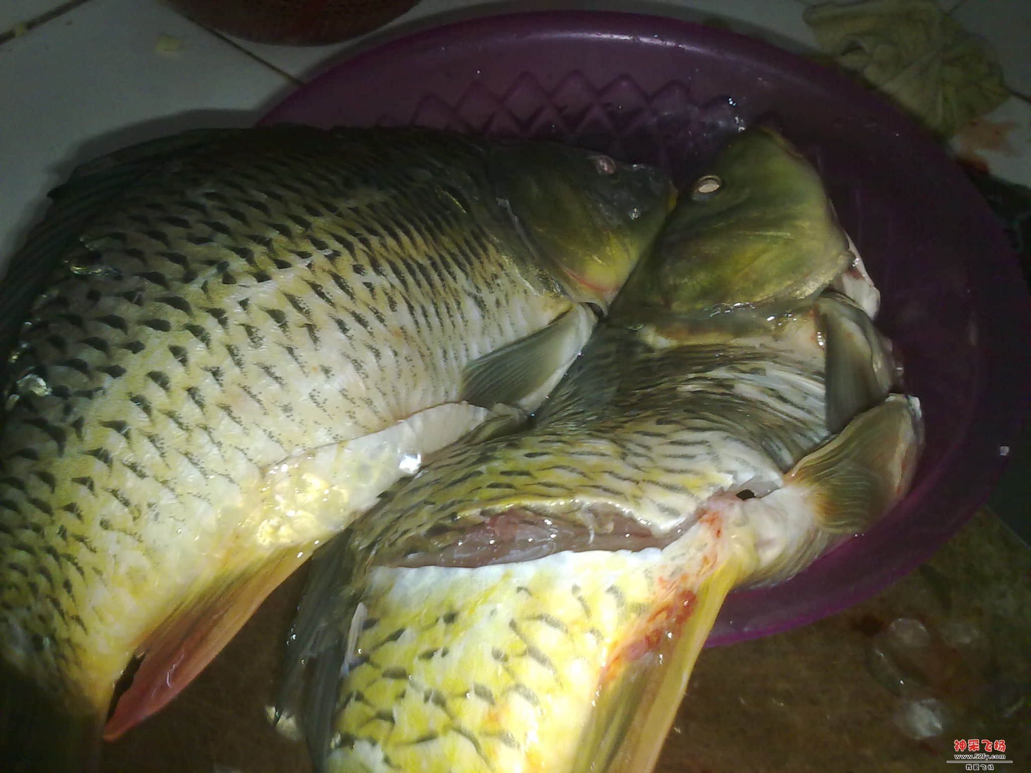 20130104551.jpg