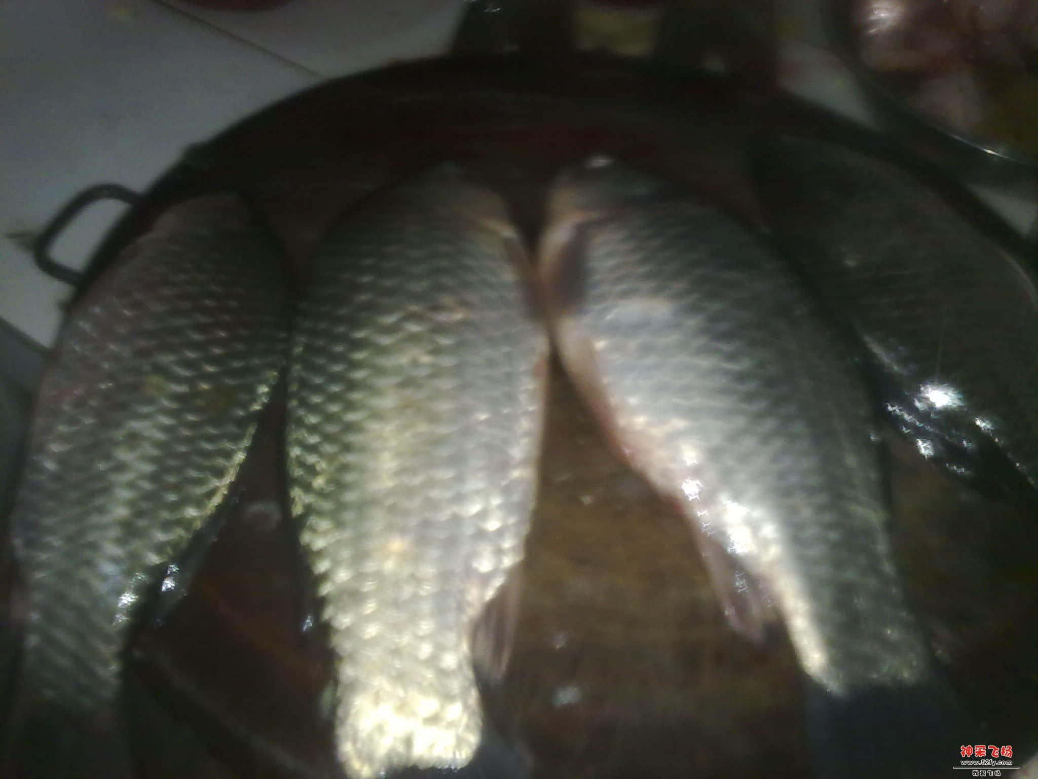 20130104552.jpg