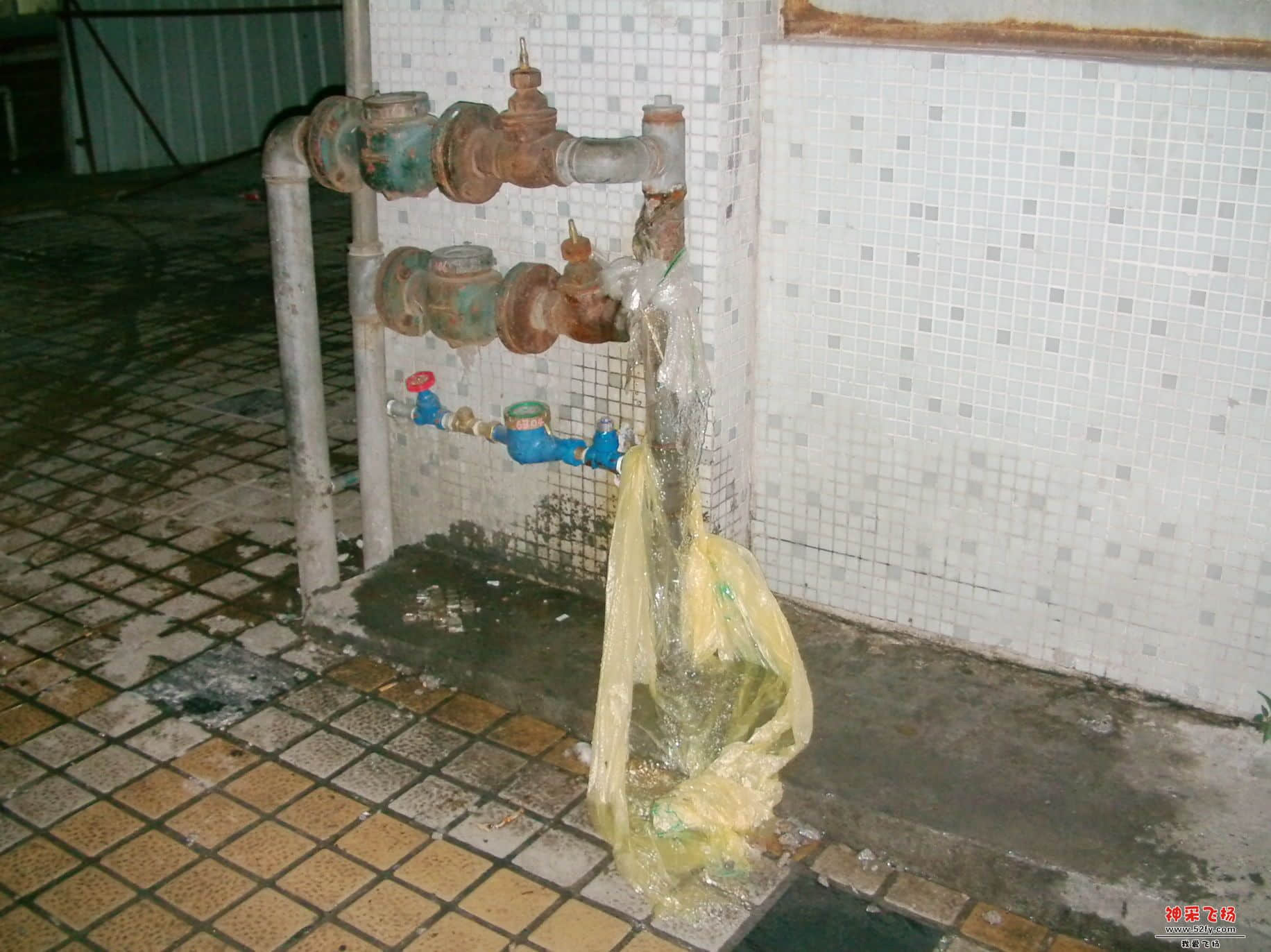 FILE0317.JPG