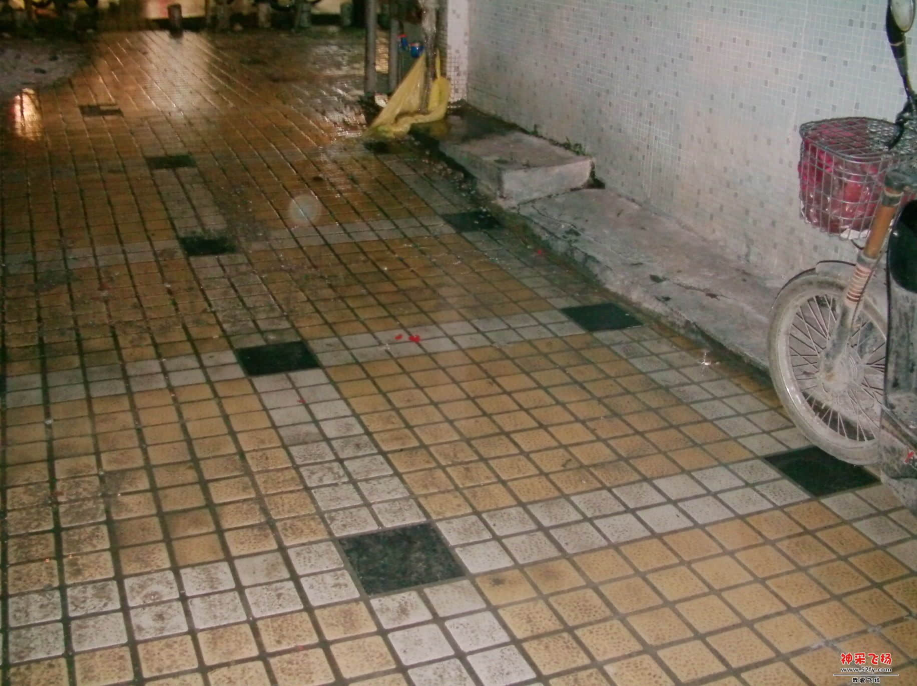 FILE0319.JPG