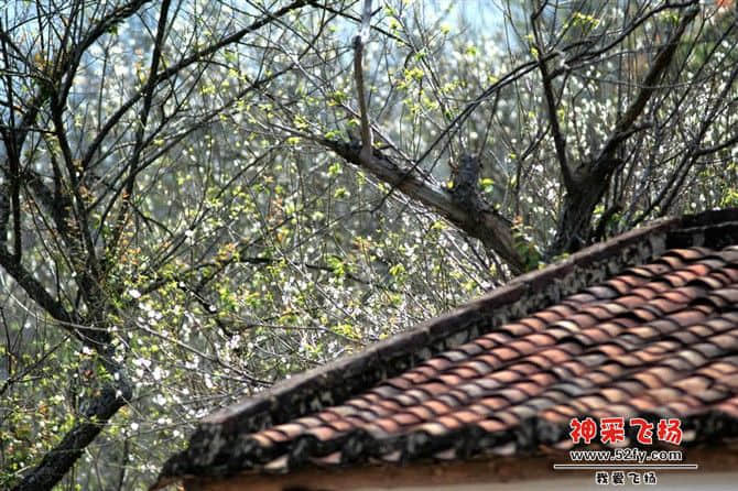d028.jpg
