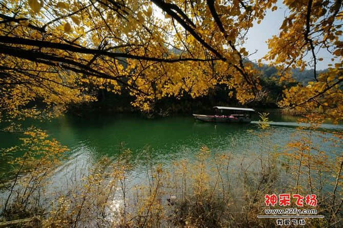 d052.jpg