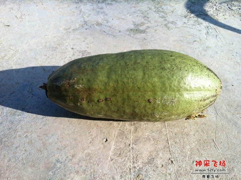 23.jpg