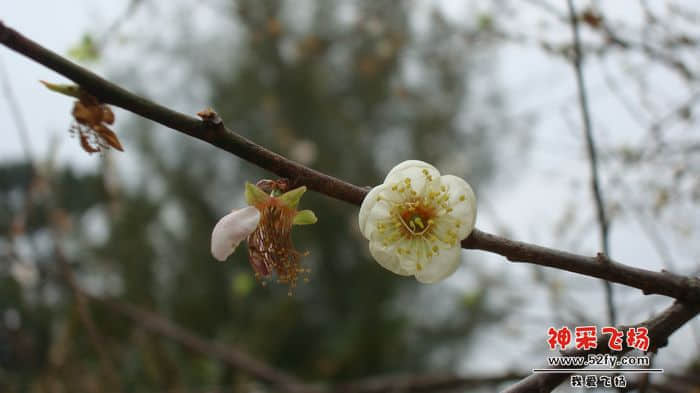 nEO_IMG_DSC09709.jpg