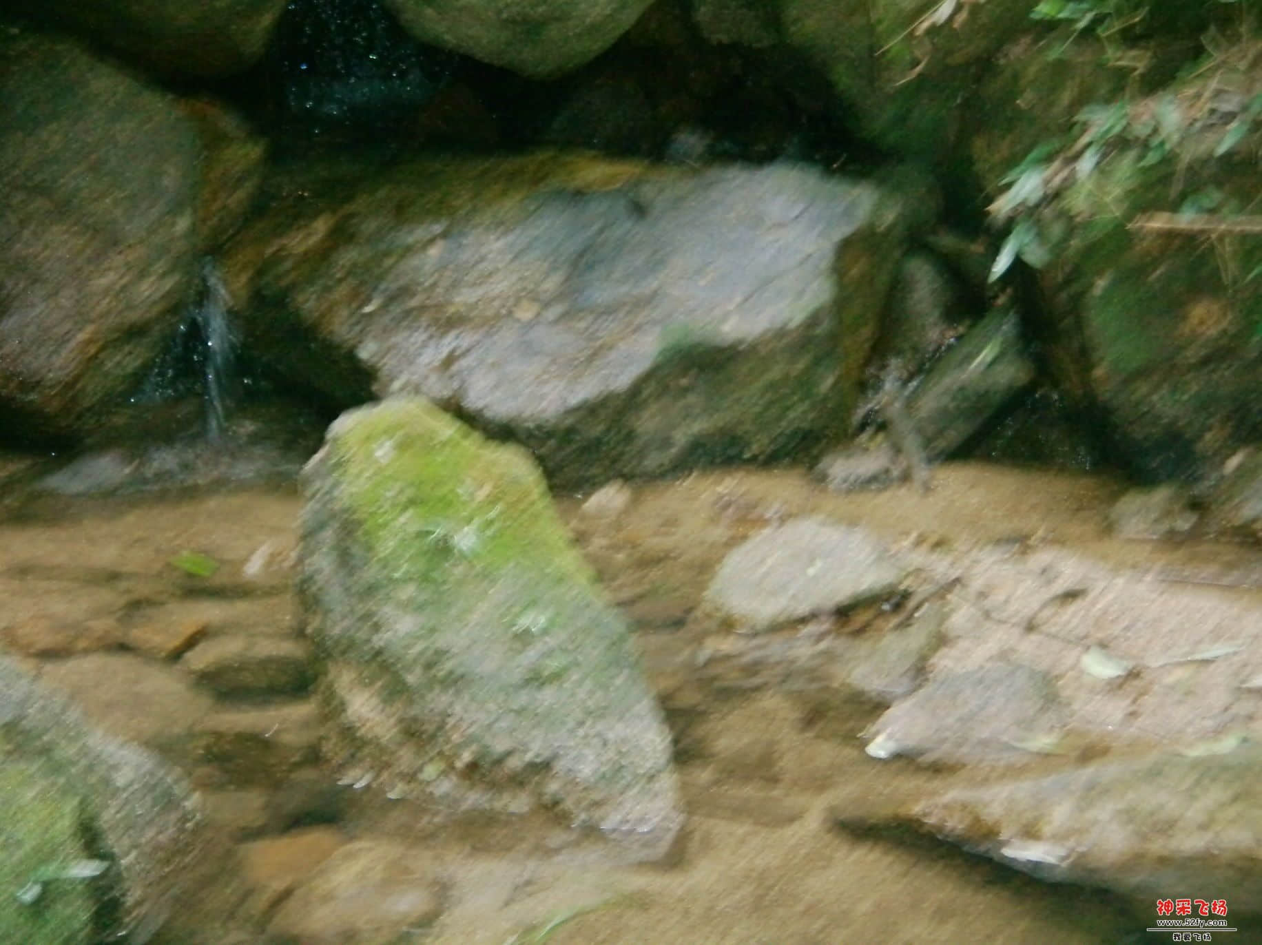 FILE0059.JPG