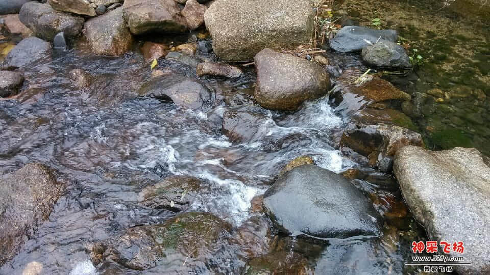 IMG_20130120_131304.jpg