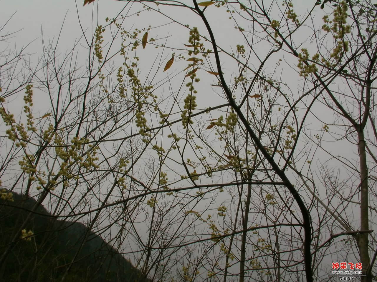 FILE0066.JPG