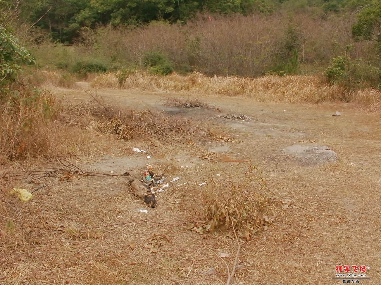 FILE0063.JPG
