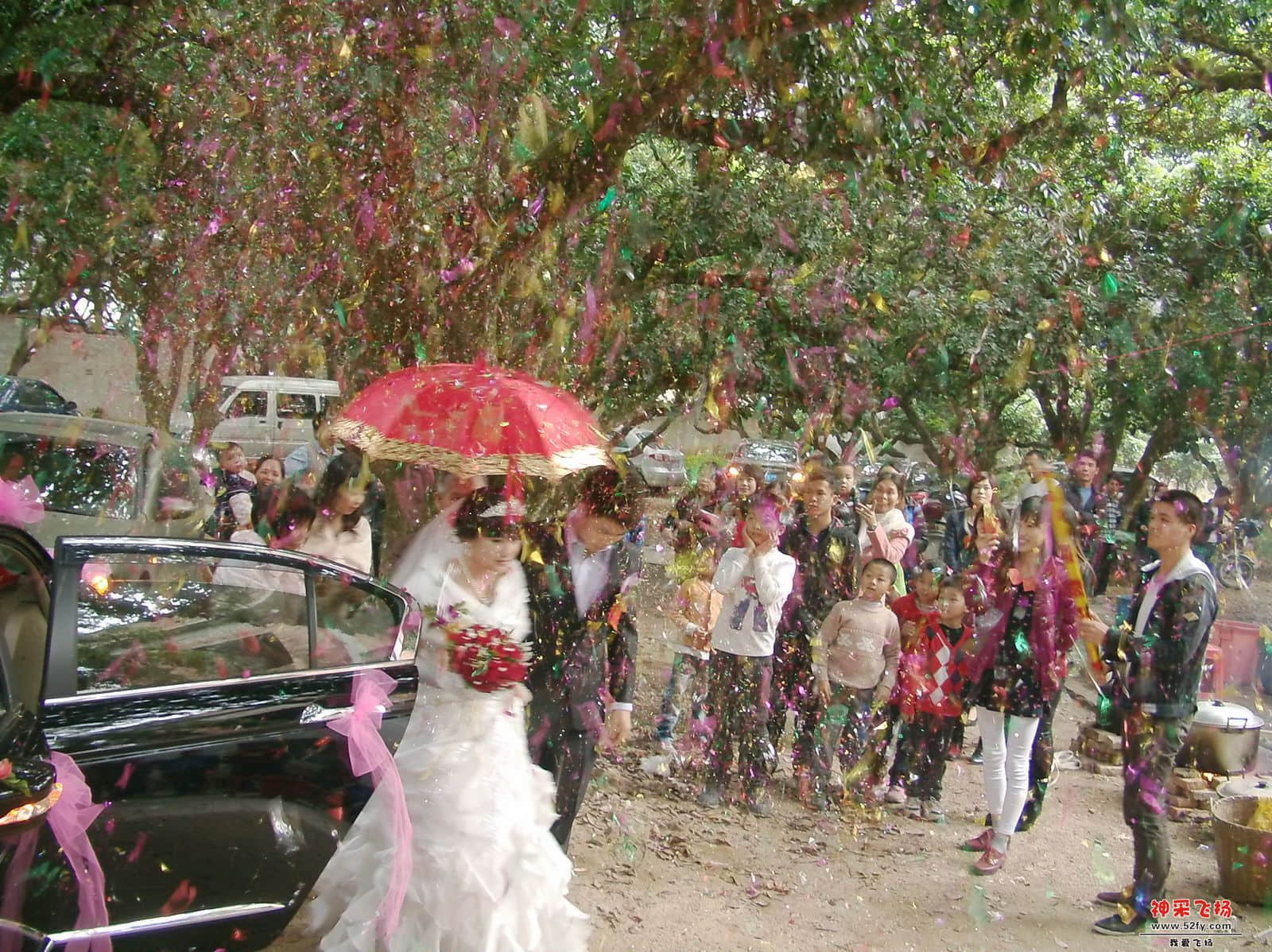 FILE0111.JPG