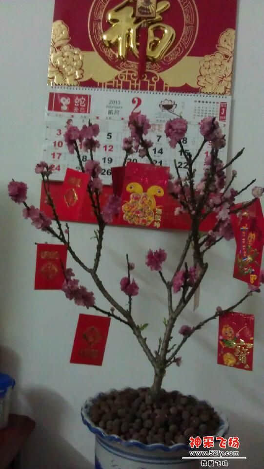 IMAG0293.jpg