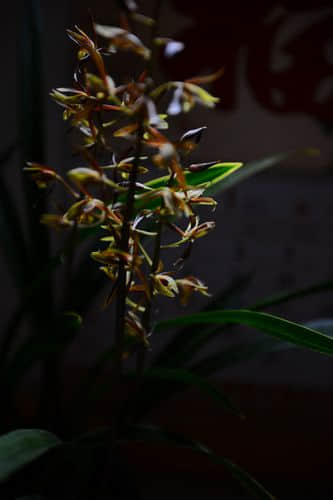 DSC_1045.jpg