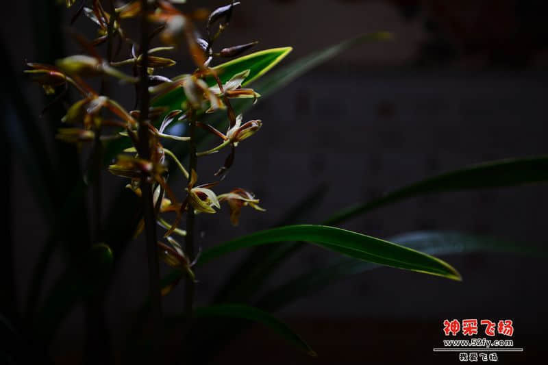 nEO_IMG_DSC_1046.jpg