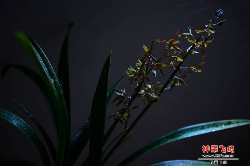 nEO_IMG_DSC_1076.jpg