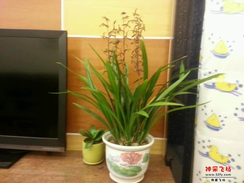 20130206_222514.jpg