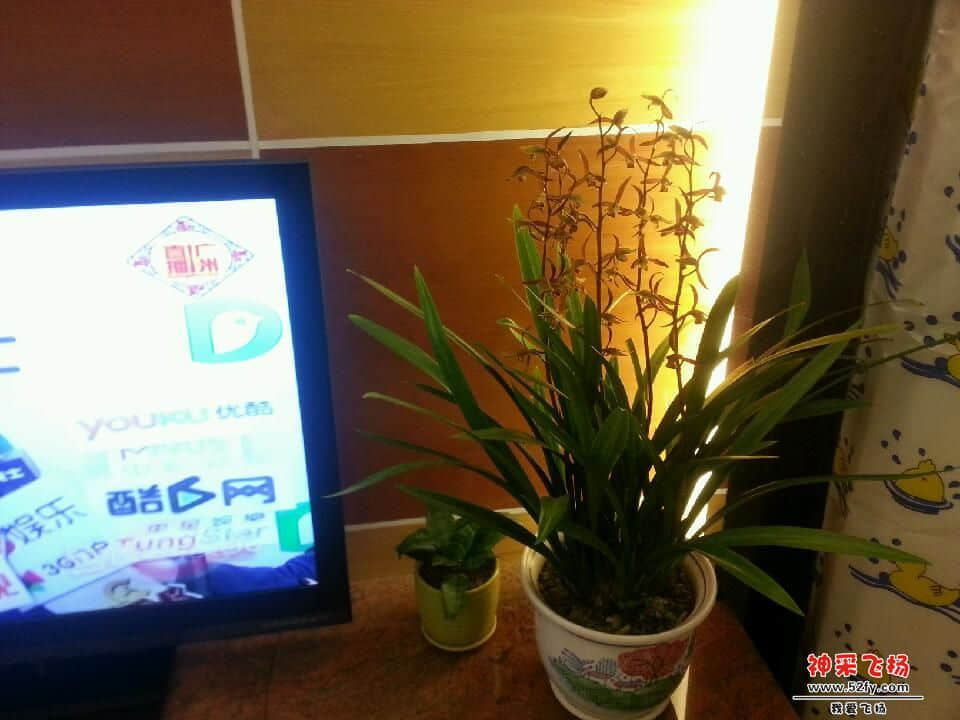 20130206_223153.jpg