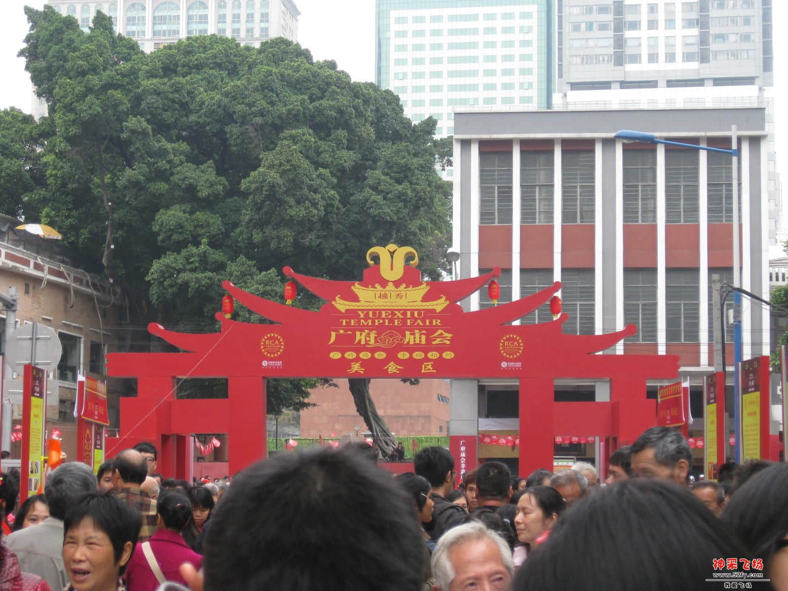 IMG_6116.jpg