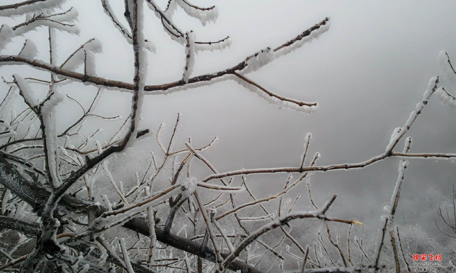 C360_2013-02-13-11-03-51.jpg