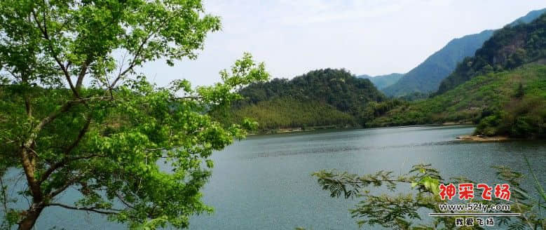 P1030135_conew2.jpg