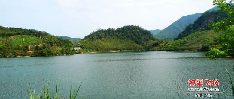 P1030136_conew2.jpg