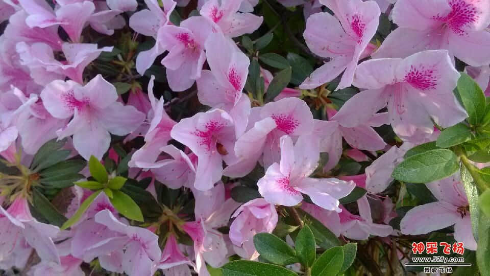 IMG_20130306_084002.jpg