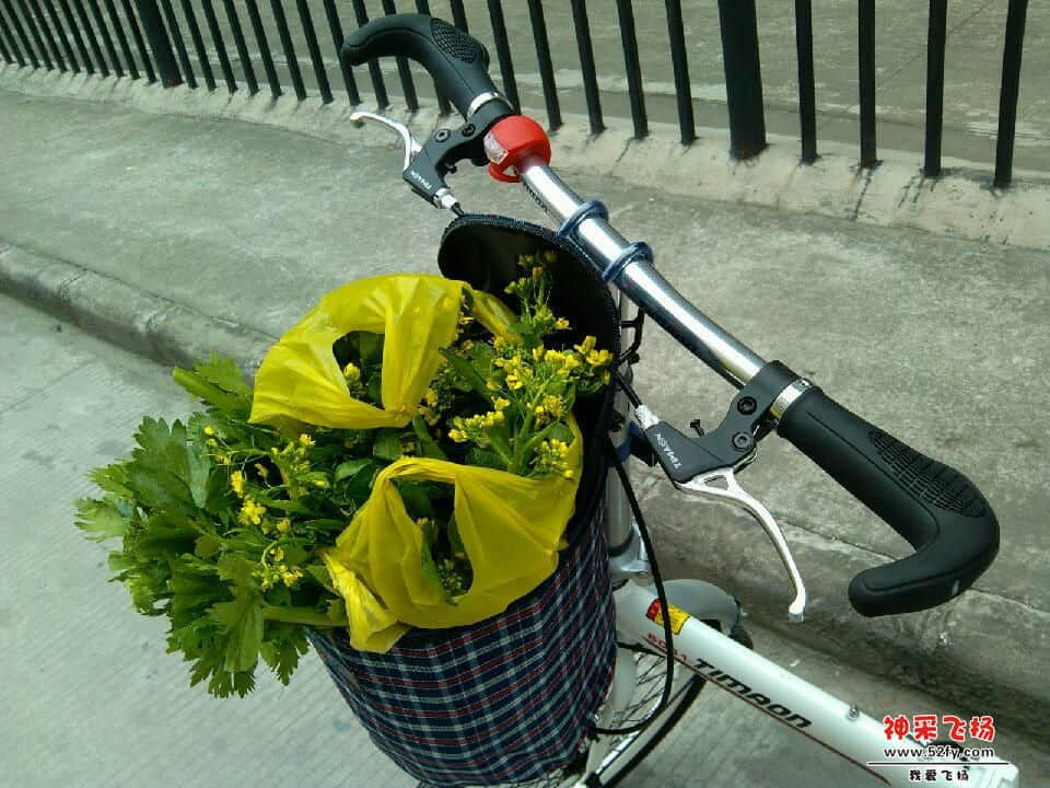 IMG_20130314_121710.jpg