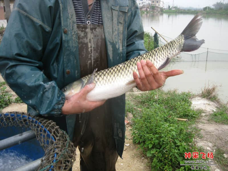 IMG_1679_副本.jpg