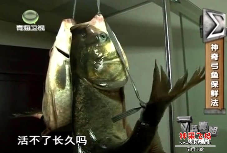 QQ截图20130320224133.jpg