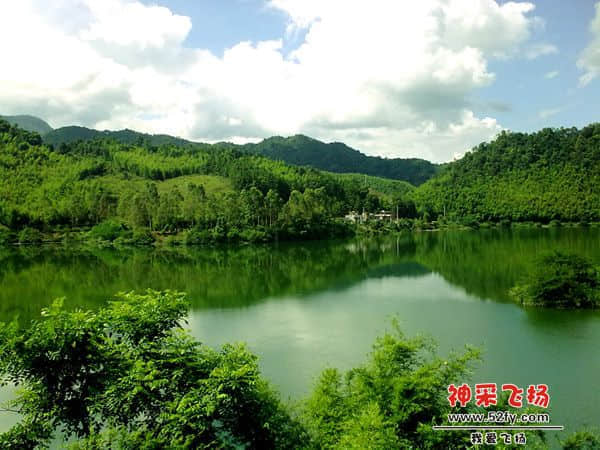 20100718679.jpg