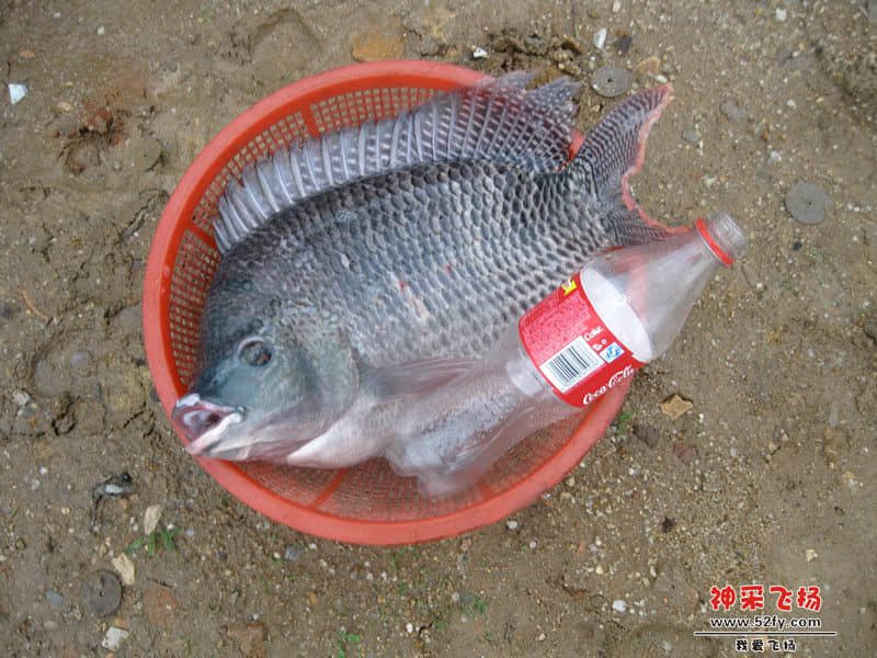 IMG_1685_副本.jpg